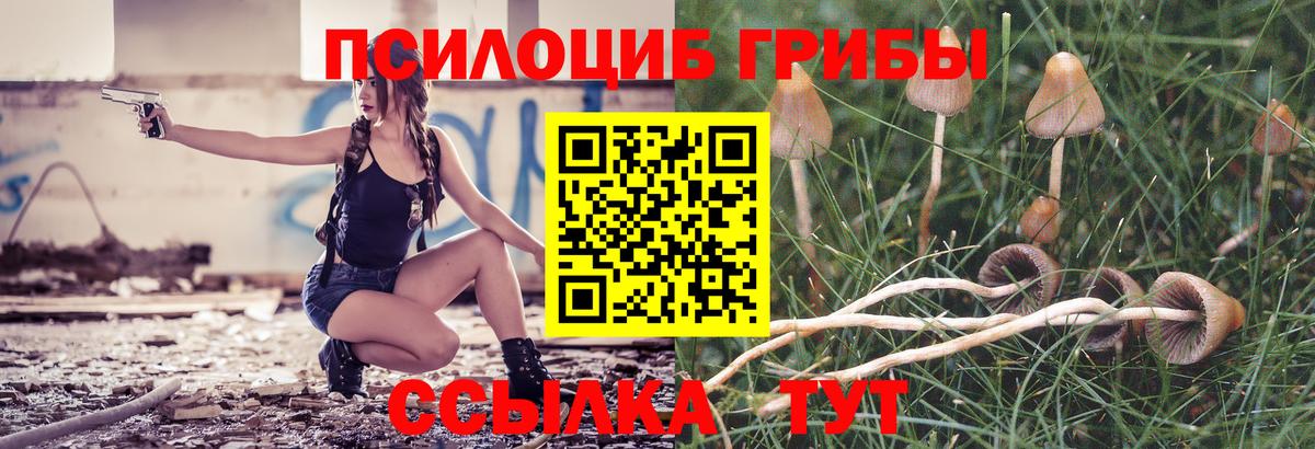 Советский  цена наркотик  Вход с VPN  Галлюциногенные грибы GOLDEN TEACHER  Псилоцибиновые грибы ЛСД 